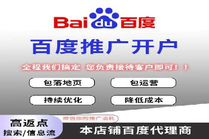 某SEM主管的跨平台广告投放策略与成果